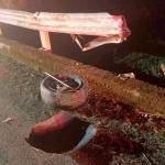 The scene on the night of Feb. 3. Photo courtesy of King County Sheriffs Office.