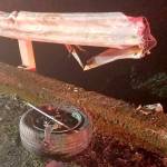 One dead after car flips into Patterson Creek