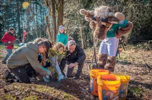 Volunteers gathered at Big Finn Hill Park in Kirkland for the ceremonial tree planting day on Feb 27. King County Executive Dow Constantine thanked everyone whos contributed to the milestone for the One Million Trees initiative. Photo courtesy of King County.