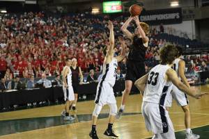 Wildcats scoop up 4A KingCo basketball honors