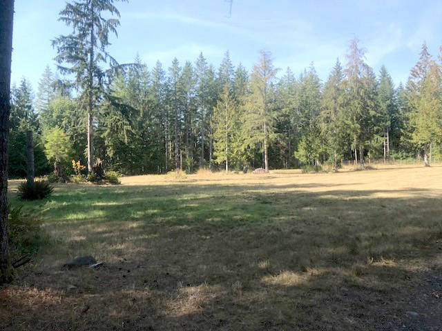 A photo of the 40-acre property the YMCA will be using for outdoor education opportunities. Courtesy Image.