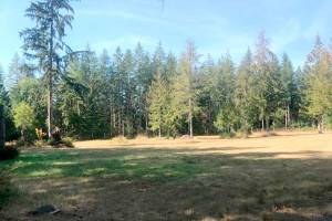 YMCA leases 40-acre property for outdoor education programs