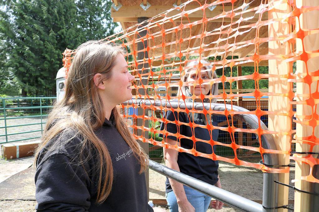 Salisbury, 19, of Redmond helps Hyatt train Nova.