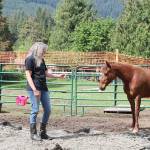 In order to gain the mustangs trust, Deanna Hyatt tests her boundaries. Stephanie Quiroz /staff photo