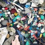 In this 2017 photo, emergency cleanups hosted by Surfrider Pacific Rim in the wake of a massive plastic bag spill hitting the West Coast revealed a gruesome mosaic of single-use-plastics coating local shorelines. (Photo courtesy of Surfrider Pacific Rim)