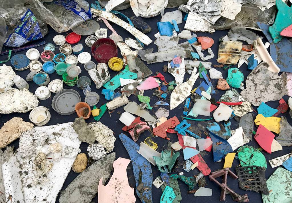 In this 2017 photo, emergency cleanups hosted by Surfrider Pacific Rim in the wake of a massive plastic bag spill hitting the West Coast revealed a gruesome mosaic of single-use-plastics coating local shorelines. (Photo courtesy of Surfrider Pacific Rim)