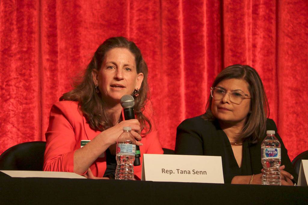 Rep. Tana Senn talks about work done on housing in the legislative session. Evan Pappas/Staff Photo