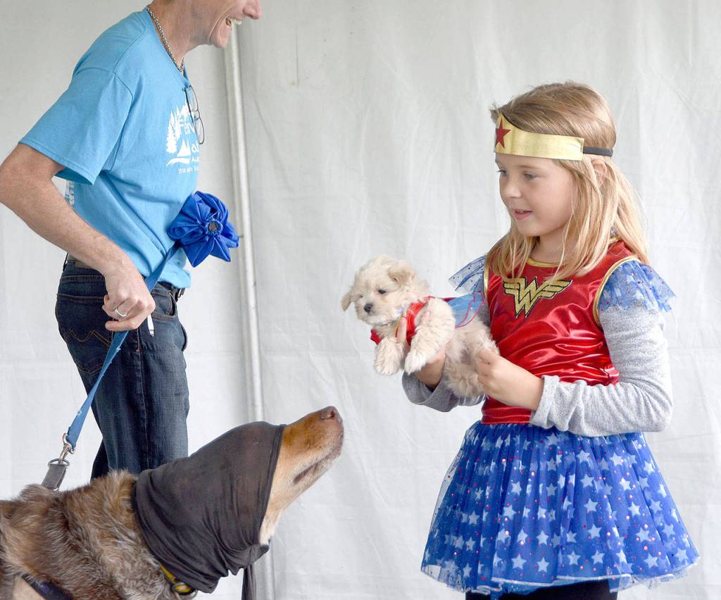 Festival at Mount Si returns to the Valley