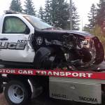 Stolen police car chase ends in Snoqualmie