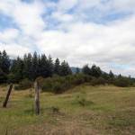 A recent decision by the King County Utilities Technical Review Committee has deemed that water for a 212-unit development slated for the Dahlgren property, more commonly known as the mule pasture, was not provided in a timely matter by the Sallal Water Association. Ashley Hiruko/staff photo