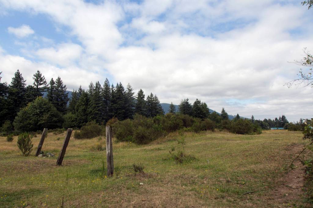 A recent decision by the King County Utilities Technical Review Committee has deemed that water for a 212-unit development slated for the Dahlgren property, more commonly known as the mule pasture, was not provided in a timely matter by the Sallal Water Association. Ashley Hiruko/staff photo