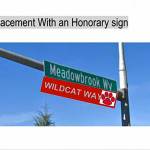 MSHS student photoshop rendering of what the new Wildcat Way street signs may look like. Photo captured from the Aug. 26 city council meeting