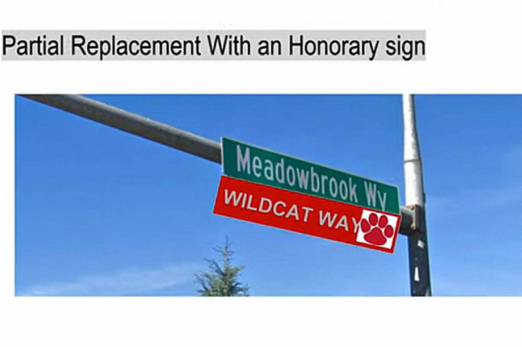 MSHS student photoshop rendering of what the new Wildcat Way street signs may look like. Photo captured from the Aug. 26 city council meeting