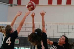 Wildcats unleashed on the volleyball court