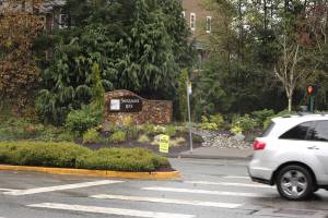 Photo by Natalie DeFord                                Political signs are back up at Snoqualmie Ridge after a warning letter was sent out by the Residential Owners Association.