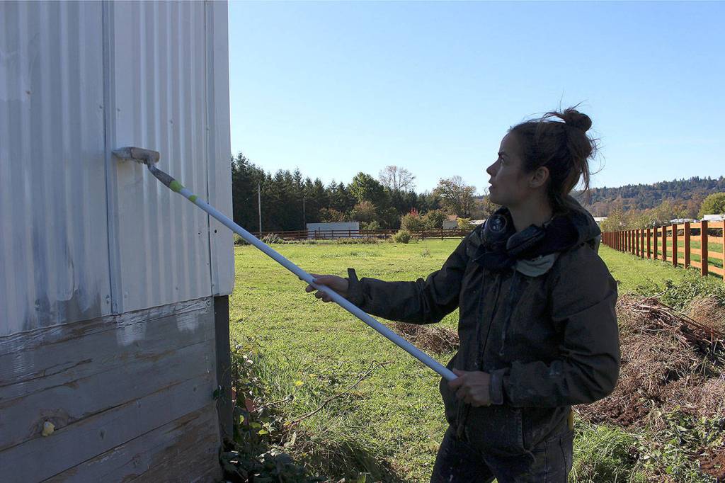 Jacoba Niepoort, a world-traveling Copenhagen-based muralist, makes a stop in Carnation to paint a new mural on the side of Christa and David St.Pierres barn. Madison Miller / staff photo