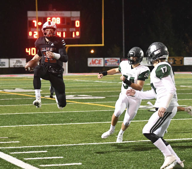 Mount Si quarterback Clay Millen running during the Wildcats 55-7 win against the Skyline Spartans on Oct. 18. Photo courtesy of Calder Productions