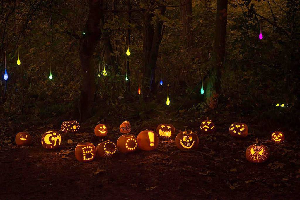 The Islands third Pumpkin Walk is set for Oct. 27 at Luther Burbank Park. Photo courtesy of Amanda Colburn