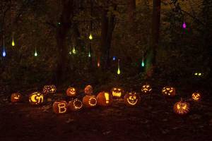 The Islands third Pumpkin Walk is set for Oct. 27 at Luther Burbank Park. Photo courtesy of Amanda Colburn