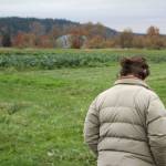 Siri Erickson-Brown, seen here walking in front of some of her fields, said the flooding caught her and other farmers by surprise. If she had two days notice, Erickson-Brown said her staff could have saved an additional 16,000 pounds of produce which was caught in the field. Aaron Kunkler/staff photo