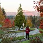 Someone walks along Snoqualmie Parkway on Oct. 28. Staff photo/Natalie DeFord