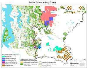 Who owns King County forestlands?