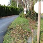 Development has encroached on the East Lake Sammamish Trail (at right). Joe Livarchik/file photo