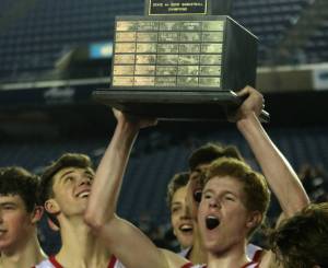 Cats are kings of the court