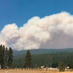 How will COVID-19 impact wildfire response?