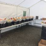 The farm stand at Dahlia Farms. Contributed by Aimee Sherrill.