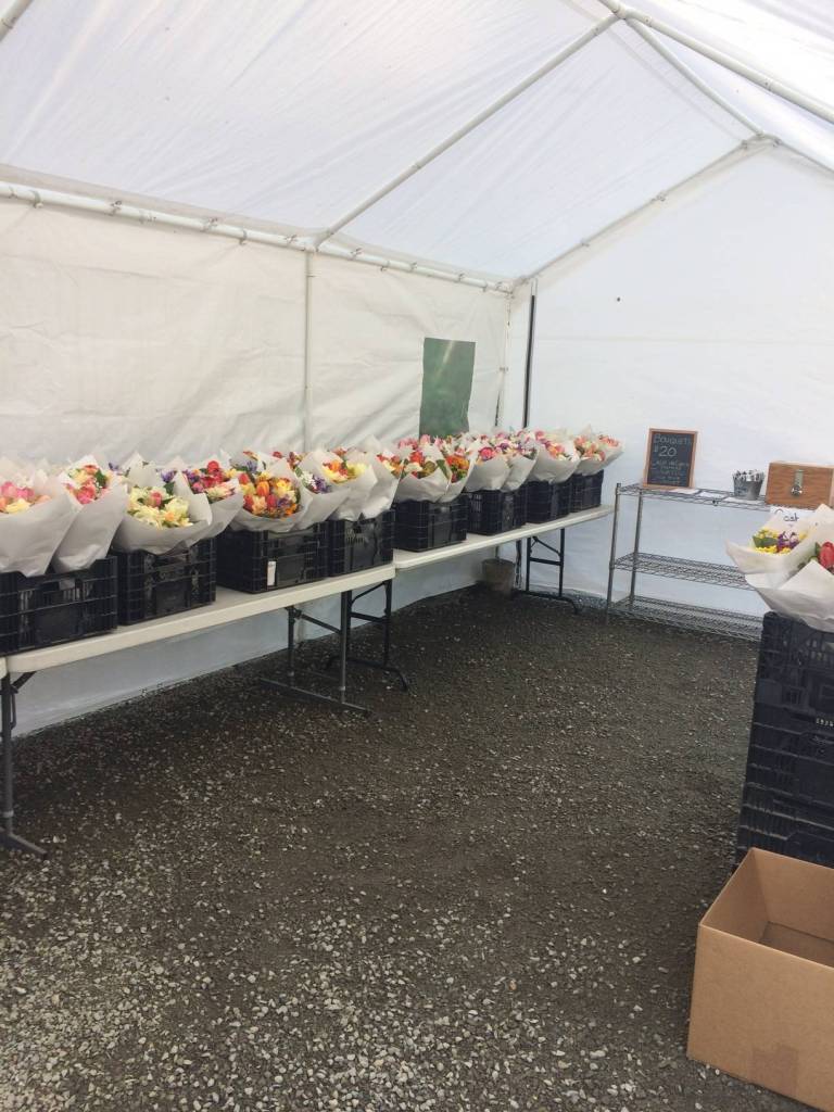 The farm stand at Dahlia Farms. Contributed by Aimee Sherrill.