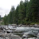 Citizens are concerned with what continued development means for the health of the Snoqualmie River. Three forks of the river converge north of the city. Ashley Hiruko/staff photo
