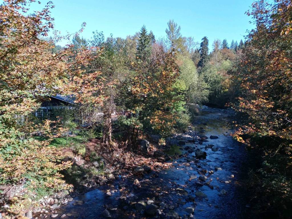 Aaron Kunkler/staff photoThe Snoqualmie River, as seen near Preston on Oct. 6. Folks around the valley are busy preparing for the upcoming flood season.