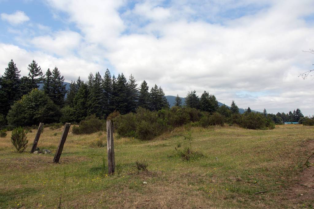 A 212-unit development is slated for the Dahlgren property, more commonly known as the mule pasture, along North Bend Way. File photo