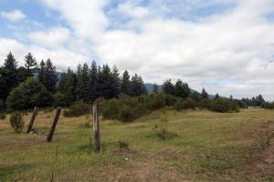 A 212-unit development is slated for the Dahlgren property, more commonly known as the mule pasture, along North Bend Way. File photo