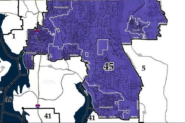 wikipedia of 45th LD