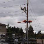PSE workers rebuild circuit 27 in North Kenmore. Photo courtesy of Puget Sound Energy.