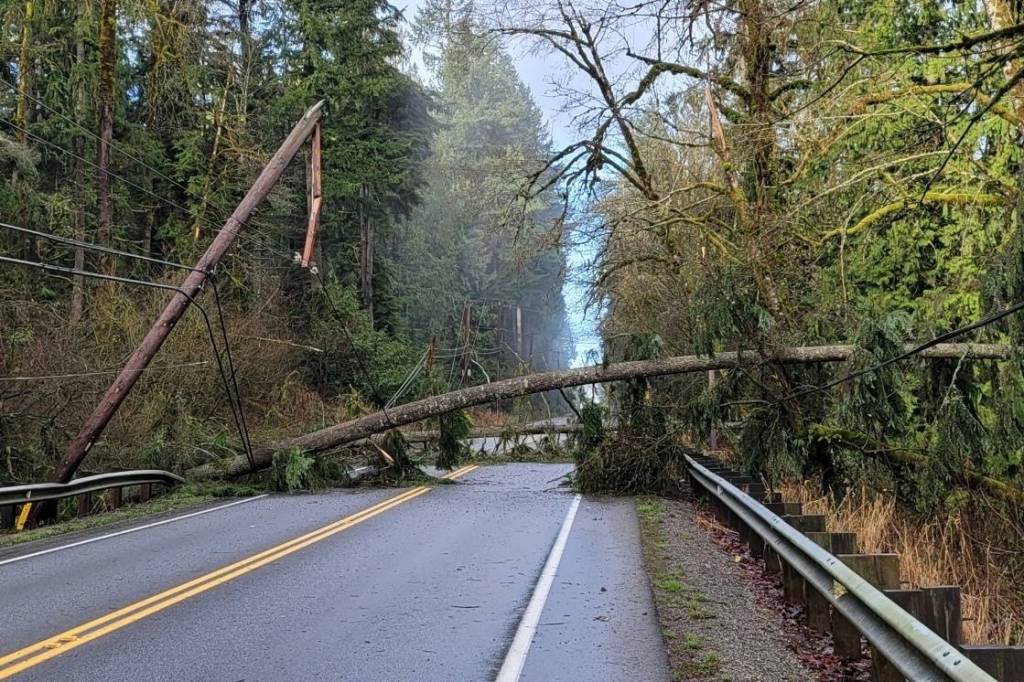 Woodinville-Duval Road, west of Snoqualmie Valley Road NE, is closed Wednesday (Jan. 13). Puget Sound Energy is removing a snagged tree from powerlines. Courtesy of King County