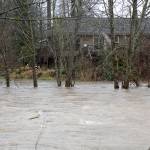 Tolt River waters crest over river banks. File photo