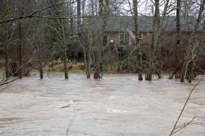 Tolt River waters crest over river banks. File photo