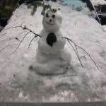 Photo courtesy of Shelby L. Winston