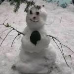 Photo courtesy of Shelby L. Winston