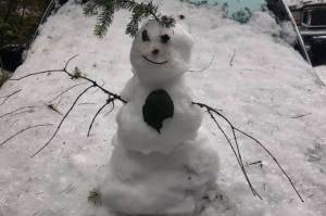 Photo courtesy of Shelby L. Winston