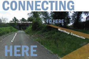 Screenshot from Claudia Balduccis Twitter account