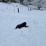 Photo submitted to the Valley Record by Tina Barker