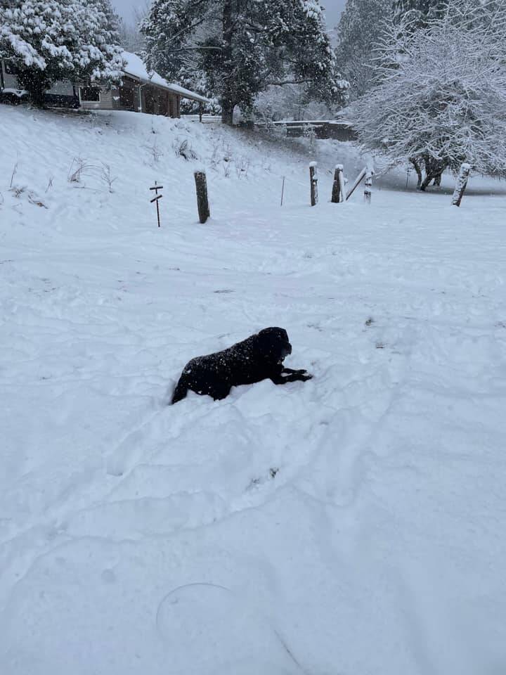 Photo submitted to the Valley Record by Tina Barker