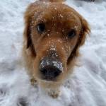 Photo submitted to the Valley Record by Sheri Taylor