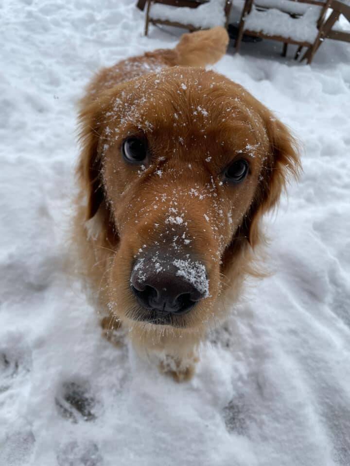 Photo submitted to the Valley Record by Sheri Taylor