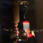 Keeping the hummingbirds warm and fed. Photo submitted to the Valley Record by Cindy Helmick Parks