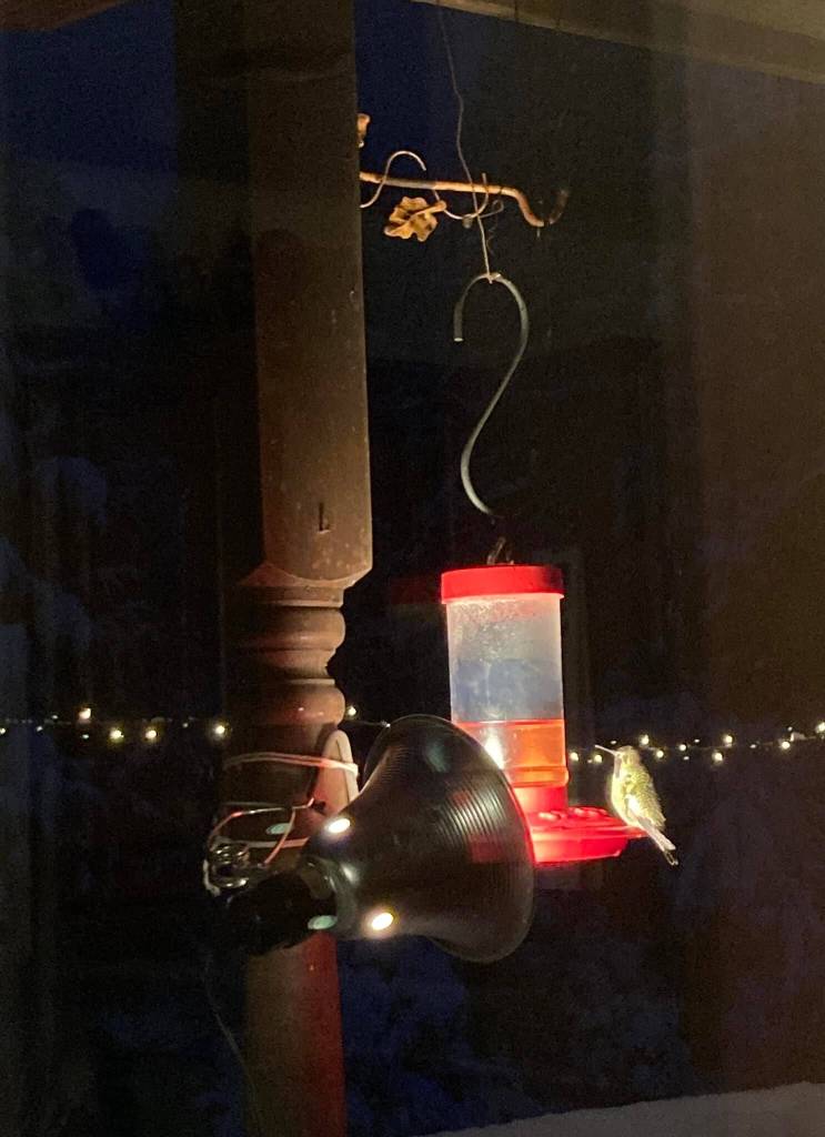 Keeping the hummingbirds warm and fed. Photo submitted to the Valley Record by Cindy Helmick Parks